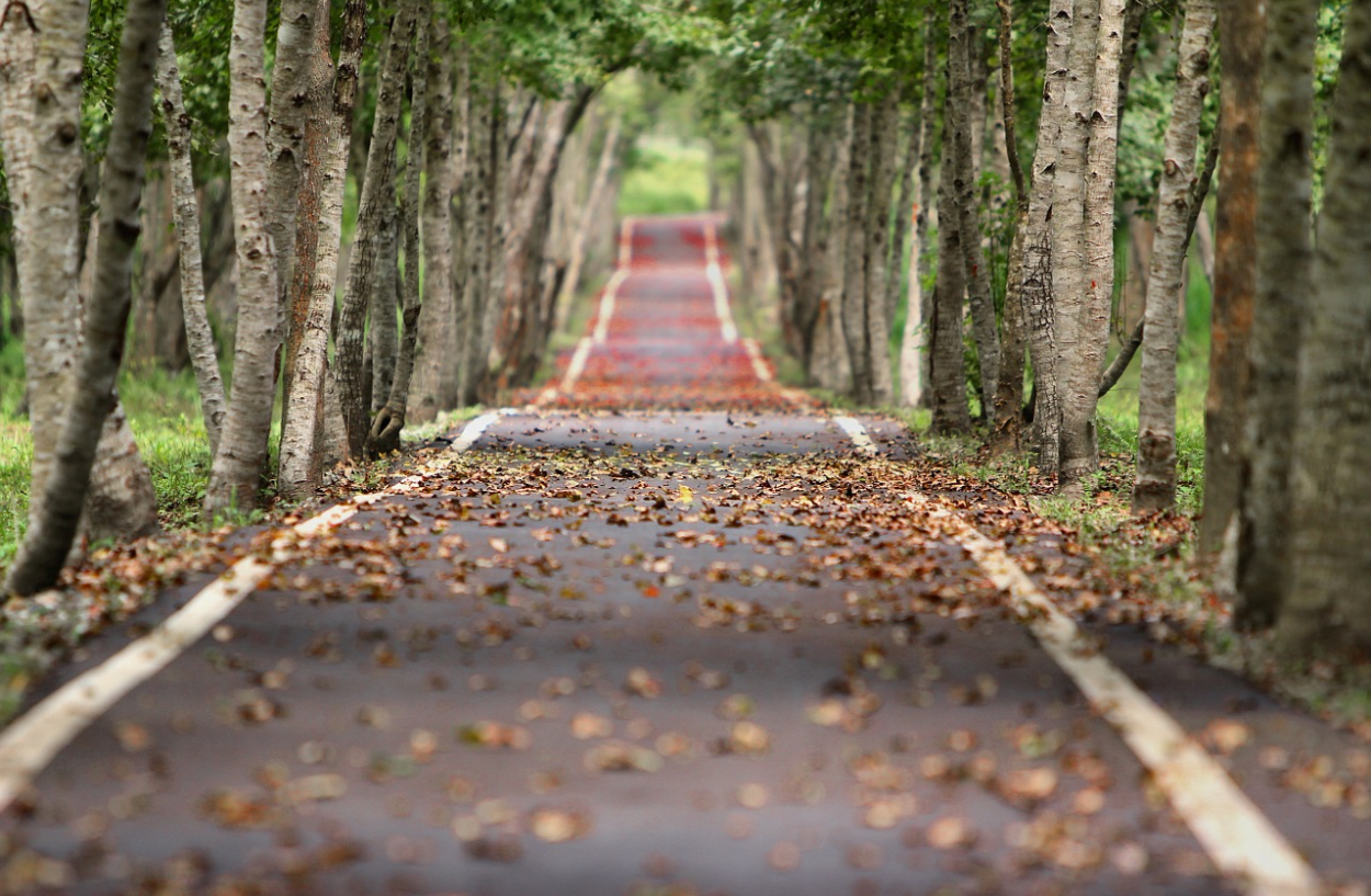 TheRoadAhead1 TheRoadAhead1